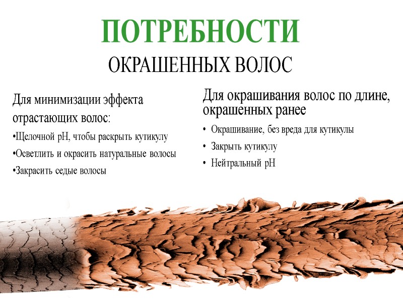 ПОТРЕБНОСТИ ОКРАШЕННЫХ ВОЛОС Для минимизации эффекта отрастающих волос: Щелочной рН, чтобы раскрыть кутикулу Осветлить